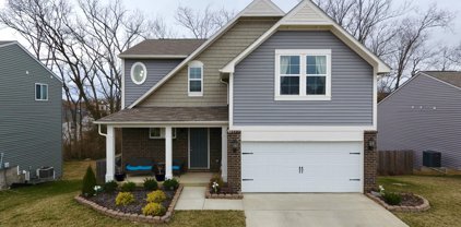 223 Masons View Ct, Shelbyville