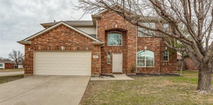 232 Tanglewood  Place, Little Elm