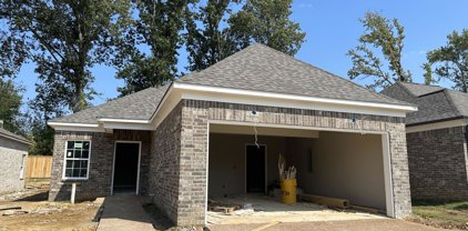 370 Flower Garden Drive, Southaven