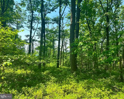 625 S Mountain Rd, Dillsburg