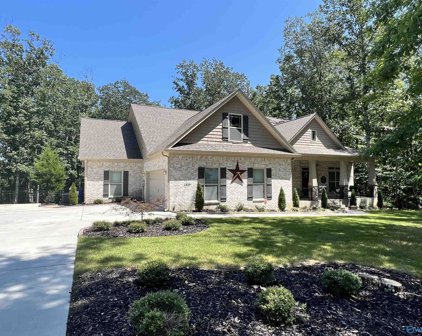 13019 S Shawdee Road, Huntsville