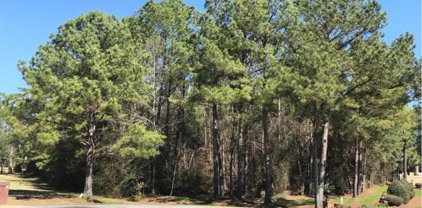 Lot 12 NUNNALLY WAY, Leesburg