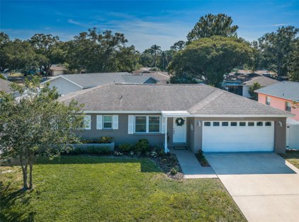 755 Green Valley Road, Palm Harbor