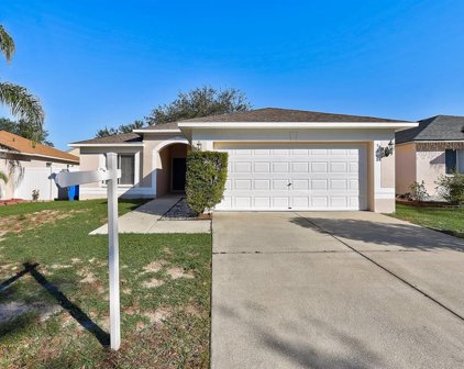 3108 Summer House Drive, Valrico