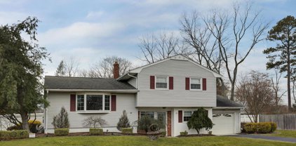 41 Sherwood Road, Red Bank