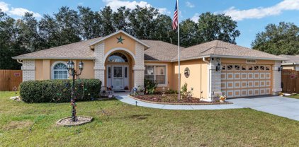 16288 Sw 16th Court, Ocala