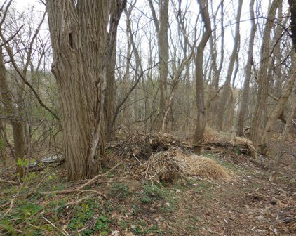 Lot 11 Ridge Drive, St. Charles
