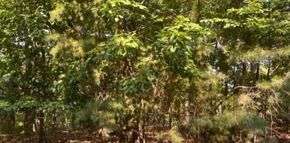Lot 105 Mountwood  Dr, Huddleston