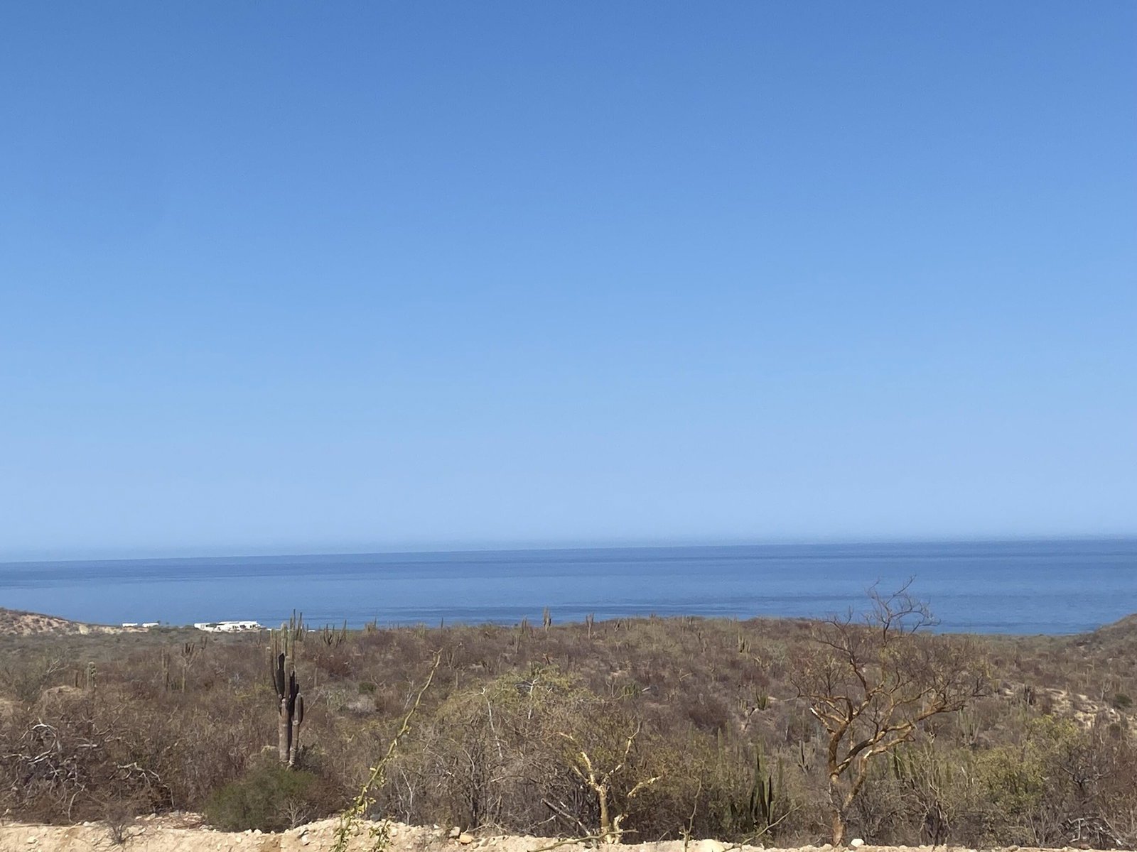 homesandlandofbaja.realgeeks.com