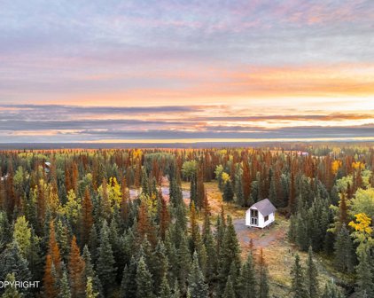 35336 Farmstead Street, Kenai