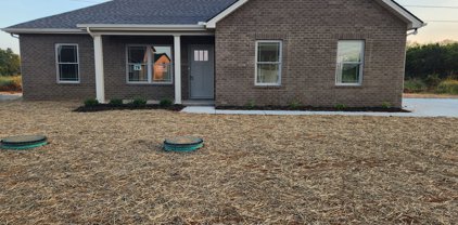 321 Richmonds Retreat Blvd, Christiana