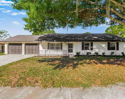 3002 Heather Glynn Drive, Mulberry