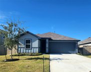14516 Lily Plains Drive, Splendora image