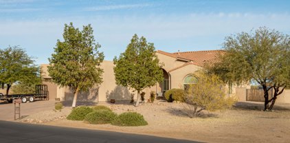 13314 W Tiger Aloe, Marana