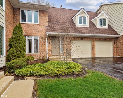 1650 N Douglas Court, Arlington Heights