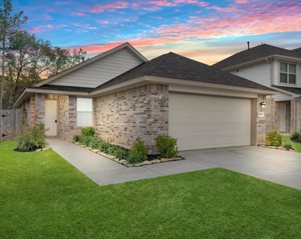 21948 Juniper Crossing Drive, New Caney