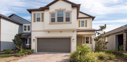 9652 Little Bluestem Drive, Land O' Lakes