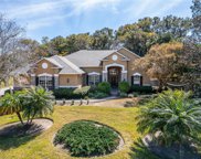 12650 Tradition Drive, Dade City image