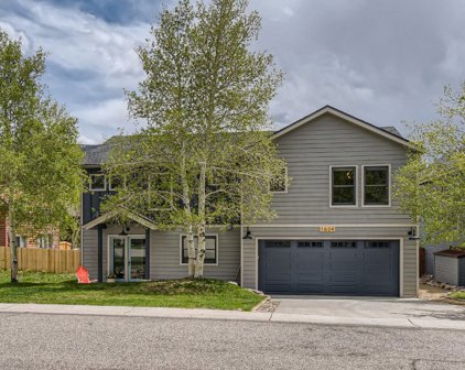 1624 N Chipmunk  Lane, Silverthorne