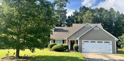 757 River Mist Drive, Jonesboro
