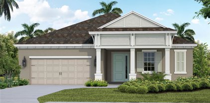 4308 Big Woods Way, Parrish