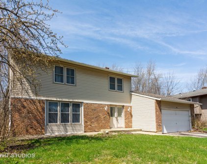 508 Falcon Ridge Way, Bolingbrook