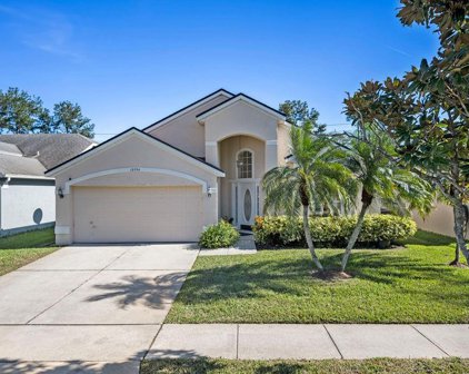 12756 Maribou Circle, Orlando