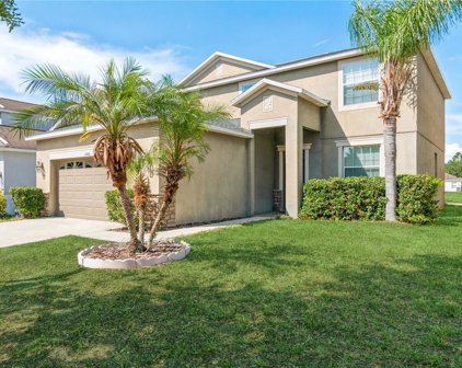 11440 Flora Springs Drive, Riverview