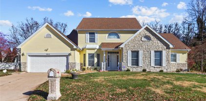 3917 Affirmed  Drive, Florissant