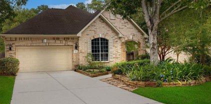 134 E Northcastle Circle, The Woodlands