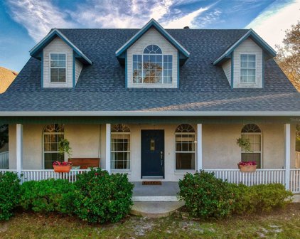3305 Red Fox Drive, Deltona