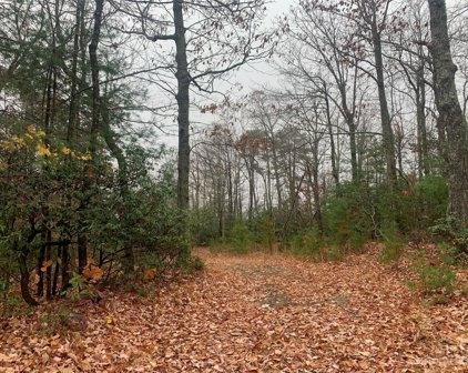 2968 Laurel Ridge  Lane, Morganton