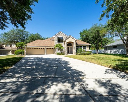 19104 Mandarin Grove Place, Tampa