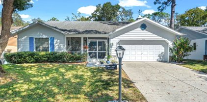 6342 Pine Meadows Drive, Spring Hill