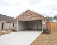 22362 Curly Maple Drive, New Caney image
