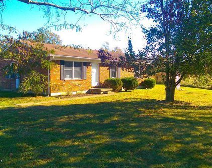 163 FALLS Ln, Shepherdsville