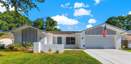 106 Meadowcross Drive, Safety Harbor
