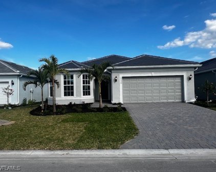 17336 Green Buttonwood Way, North Fort Myers