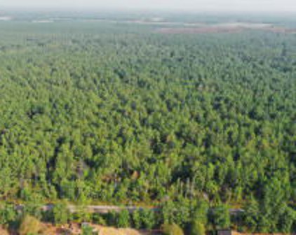 Planer Mill Rd, DeRidder