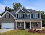 4601 Ivy Patch Drive, Fortson image