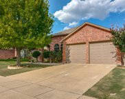 6136 Redear  Drive, Fort Worth image