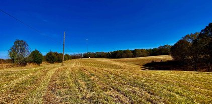 43 ACRES Old Jackson Rd, Unincorporated
