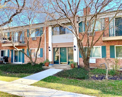 715 E Falcon Drive Unit #207, Arlington Heights