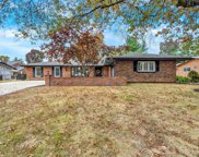 1317 Geders  Lane, St Louis image