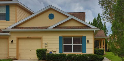 20201 Vintage Oaks Place, Tampa