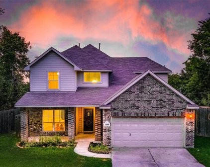 11808 Woodcrest Drive, Willis