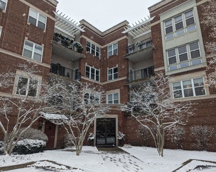 310 E Church Street Unit #307, Libertyville