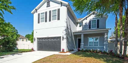 30047 Messara Cove, Mount Dora