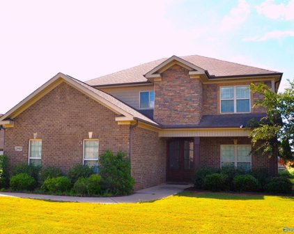 25945 Apple Orchard Lane, Athens