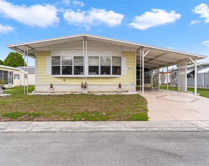 38535 Monet Drive, Zephyrhills